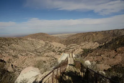 DSC_6277 (Large).JPG